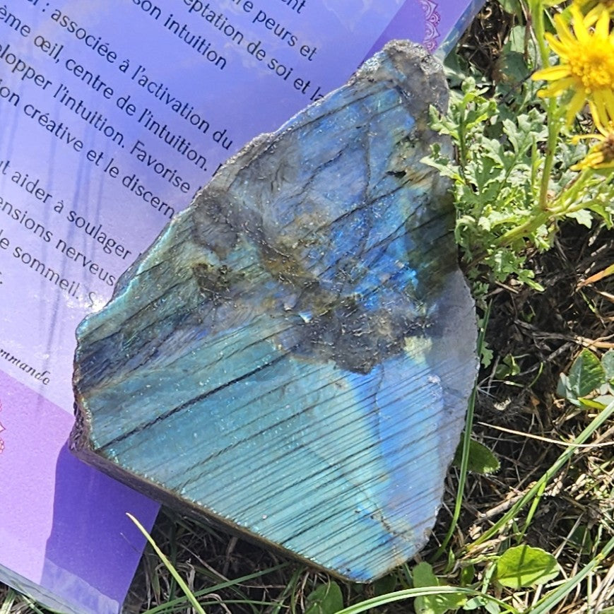 Labradorite Brute