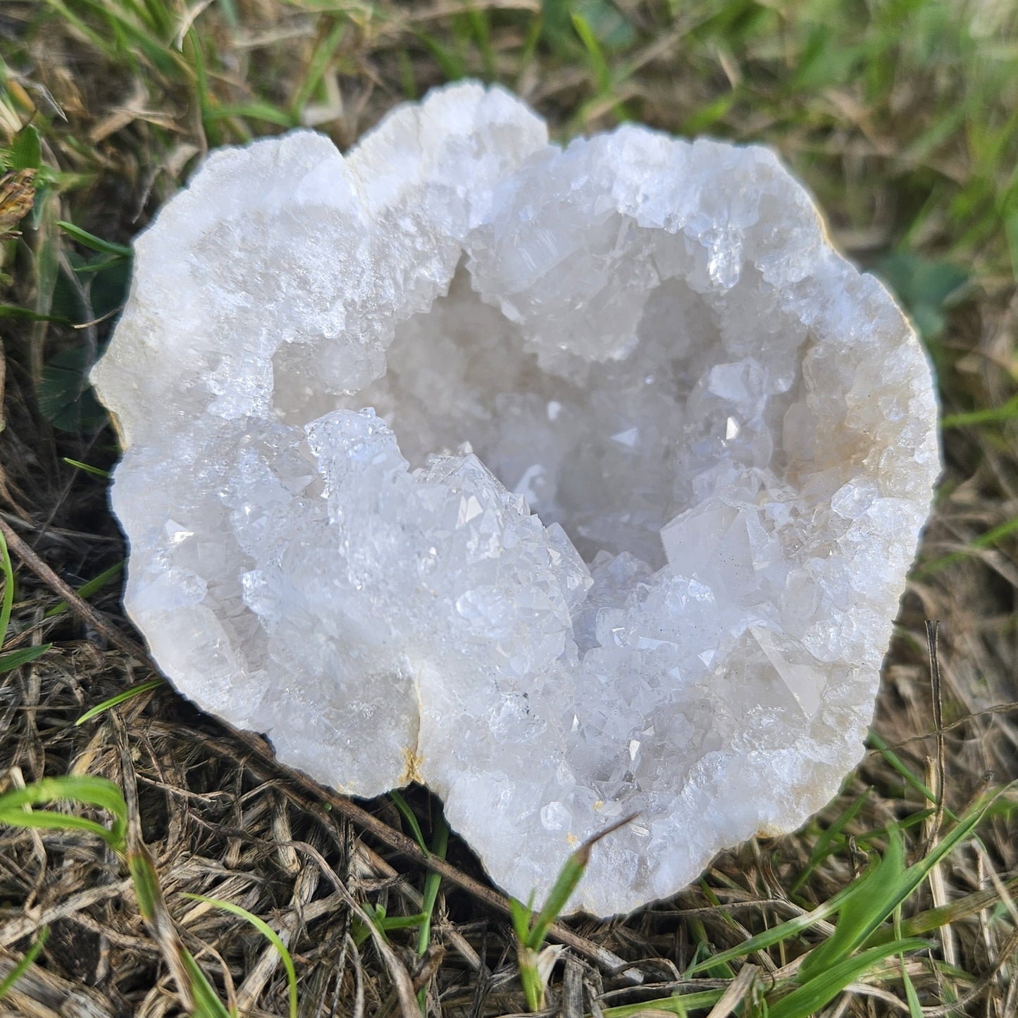 Géode de Quartz