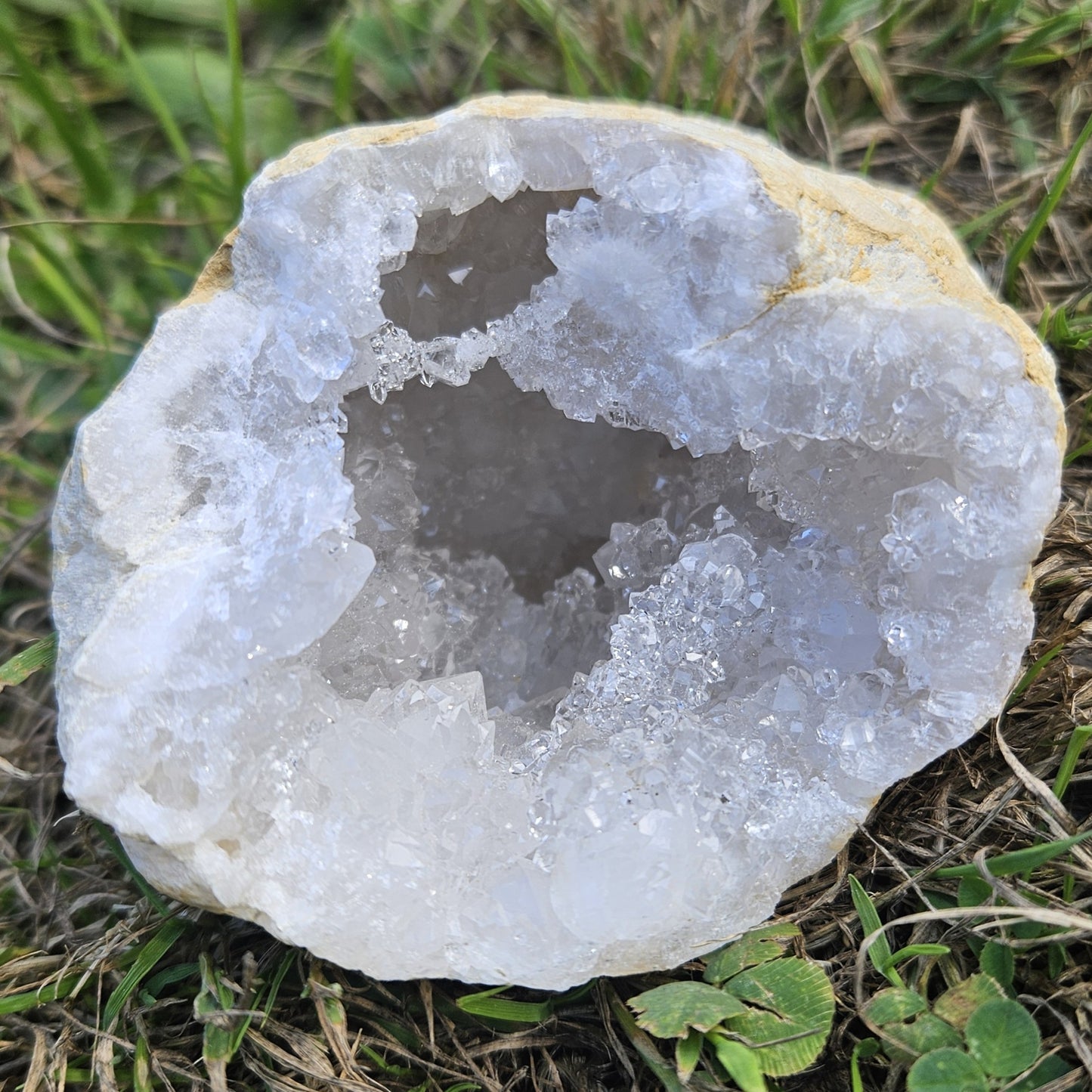 Géode Moyenne Quartz Blanc