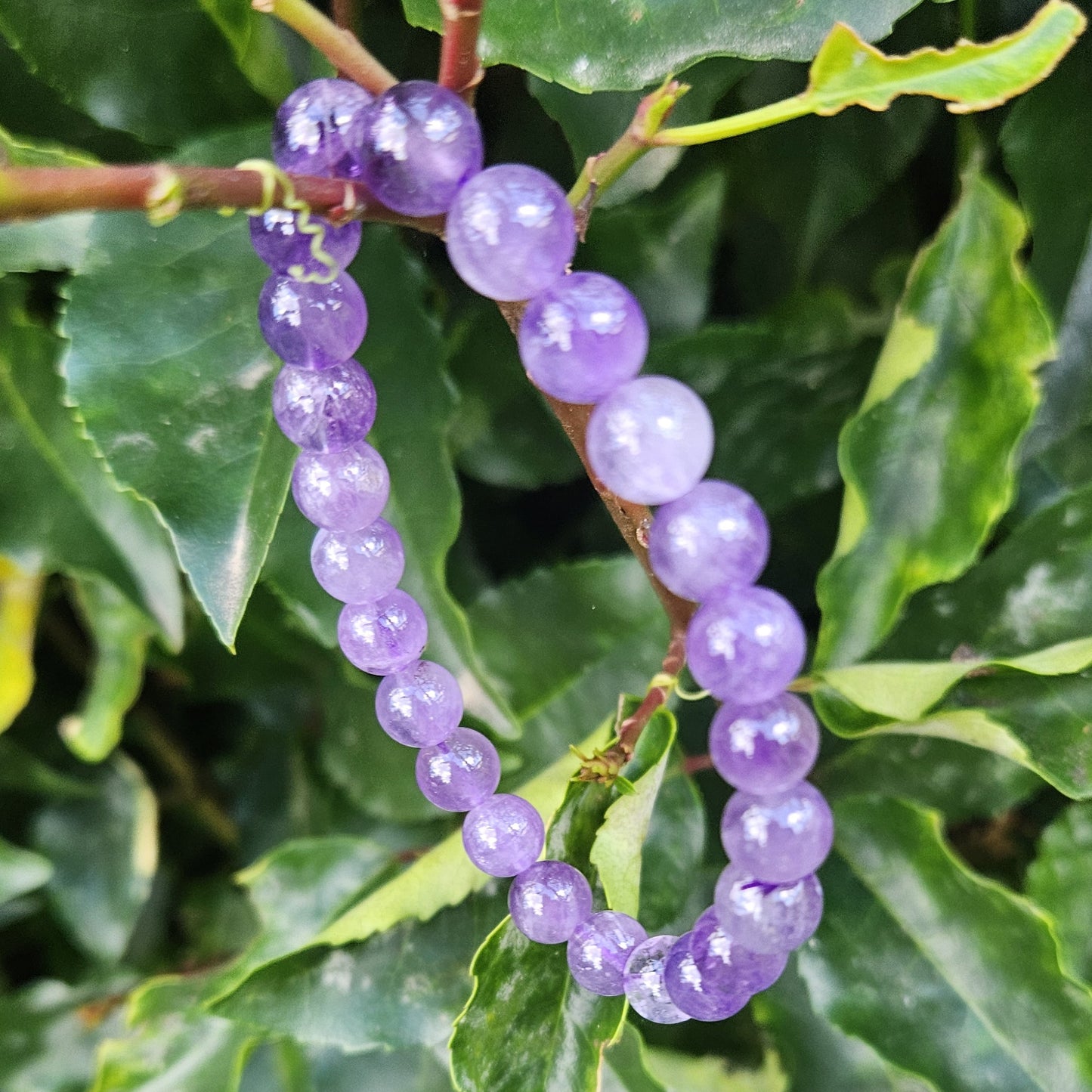 Bracelet Améthyste