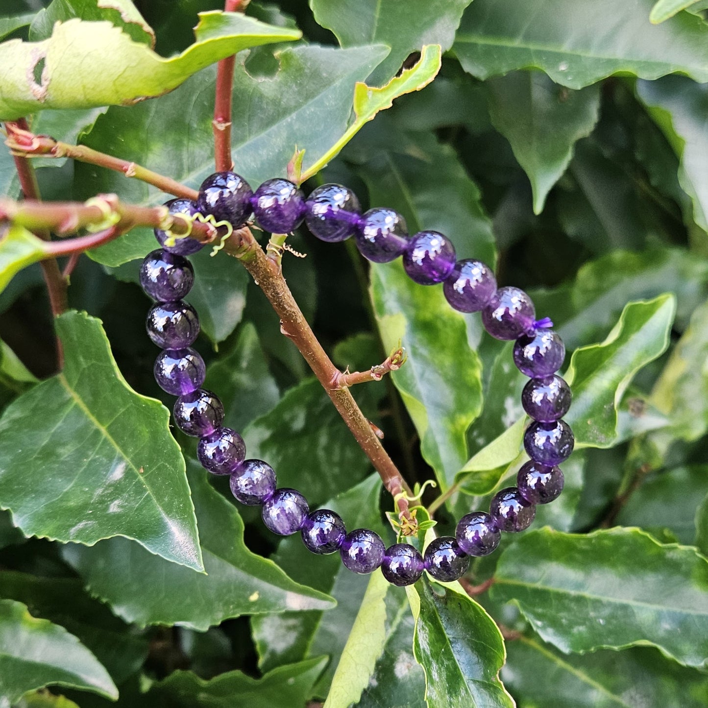 Bracelet Améthyste
