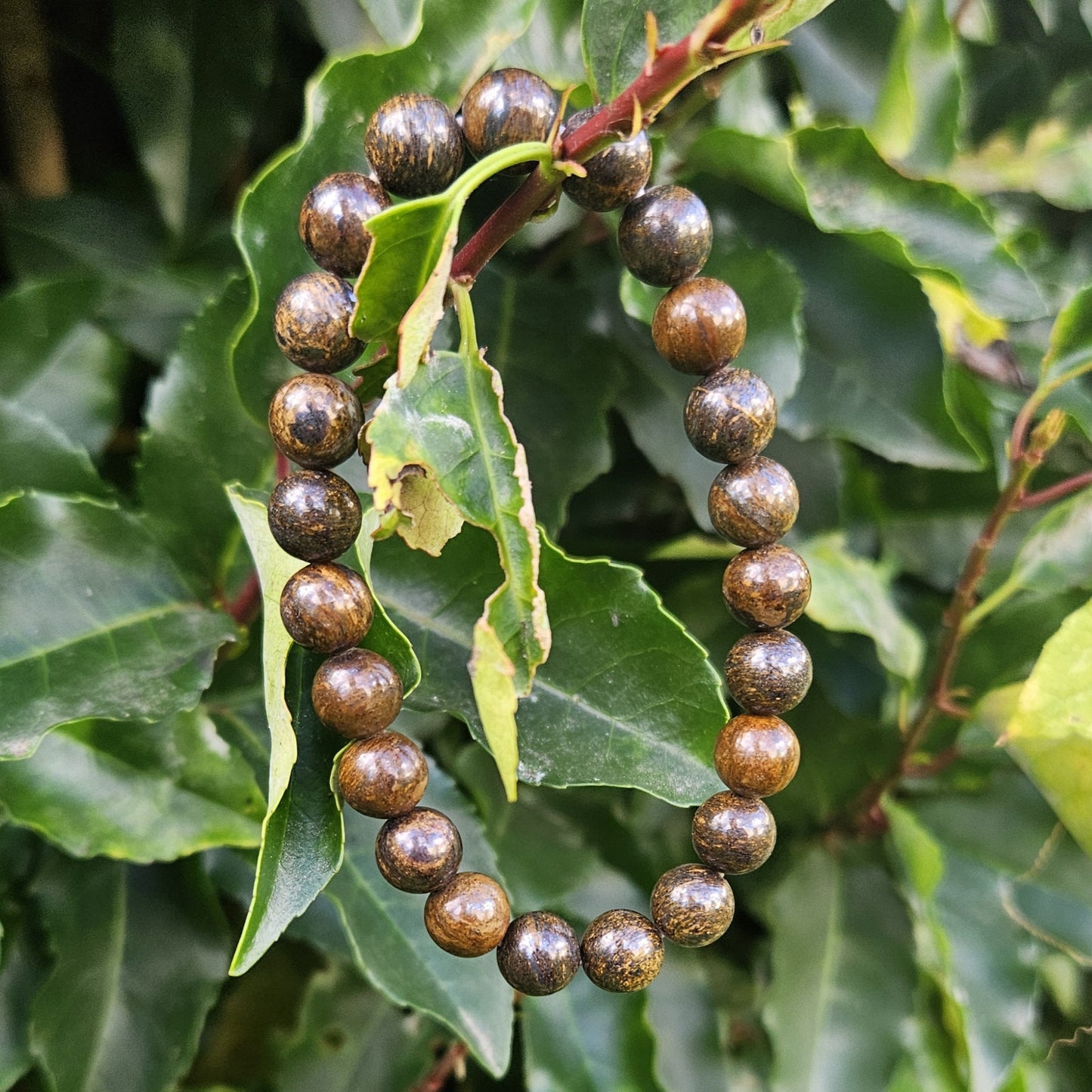 Bracelet Bonzite