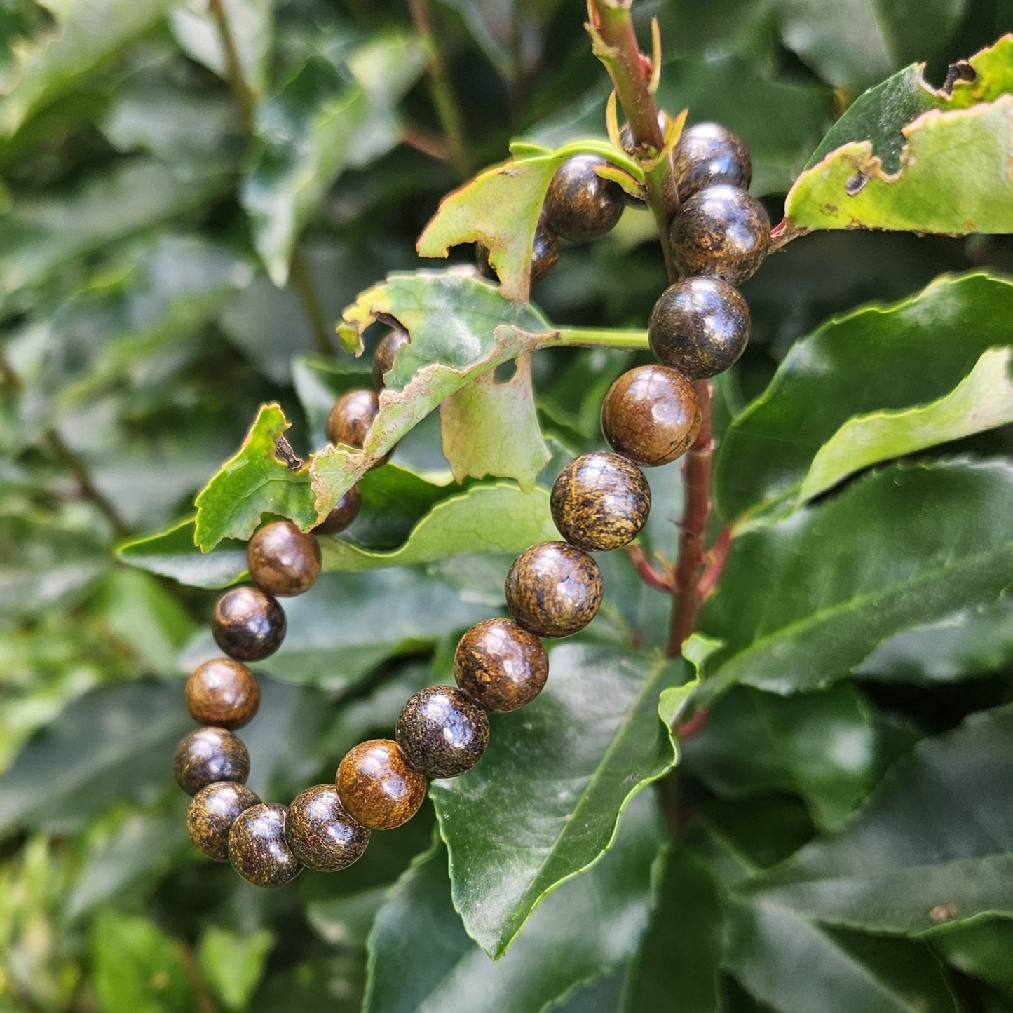 Bracelet Bonzite