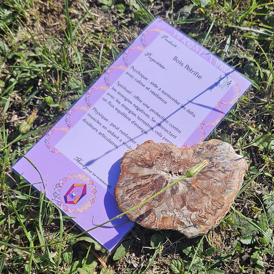 Bois Silicifié