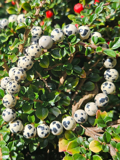 Bracelet Jaspe Dalmatien