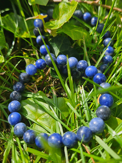 Bracelet Sodalite