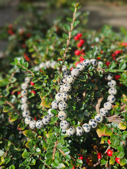 Bracelet Jaspe Dalmatien