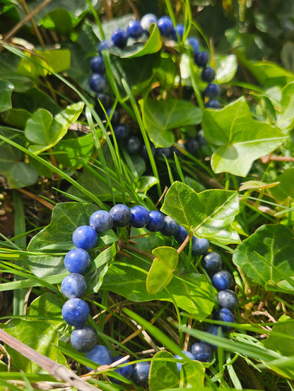 Bracelet Sodalite